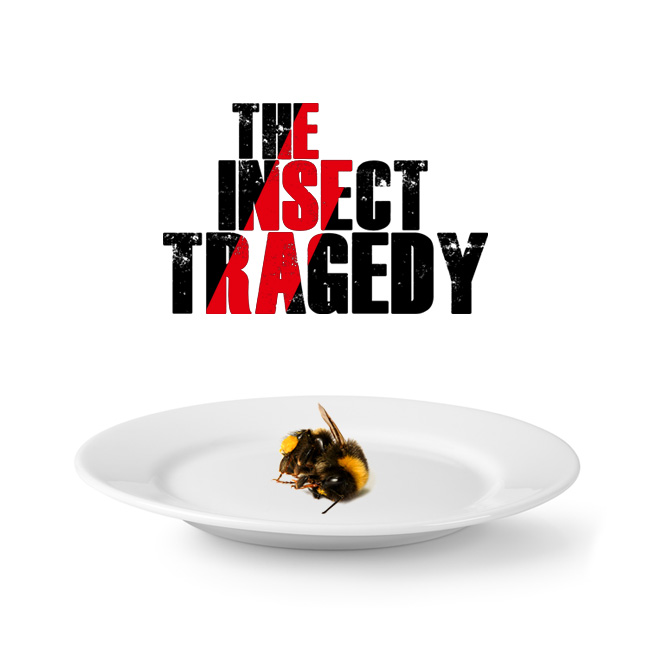 The insect tragedy