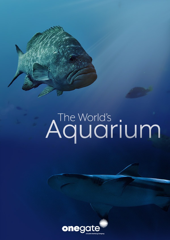 The World's Aquarium