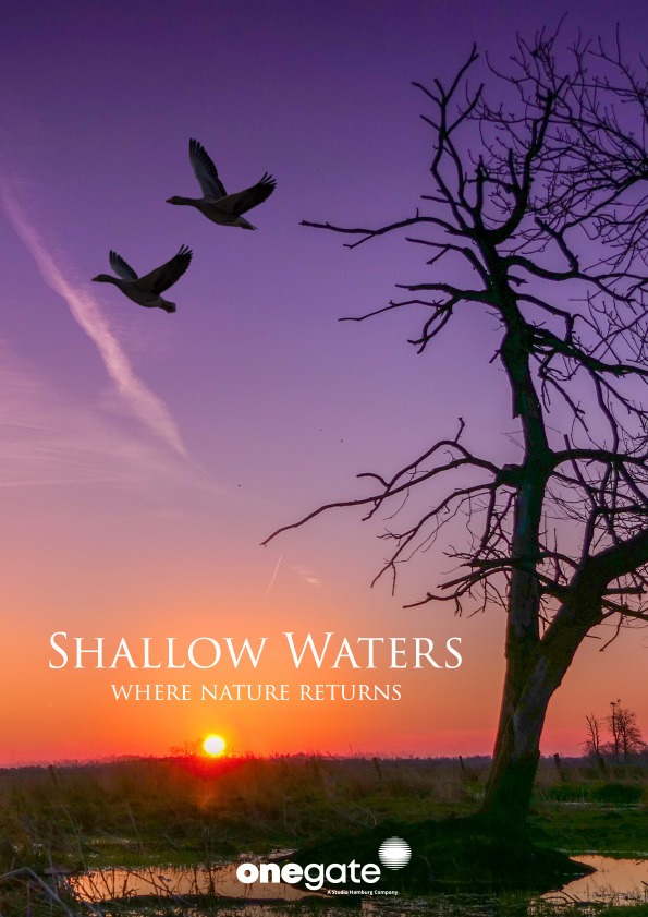 Shallow Waters – Where Nature Returns